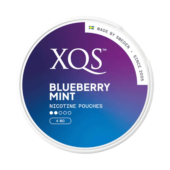XQS Blueberry Mint 50mg Koffein – bild 3