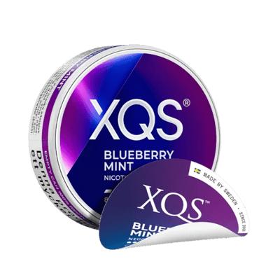XQS Blueberry Mint 8mg