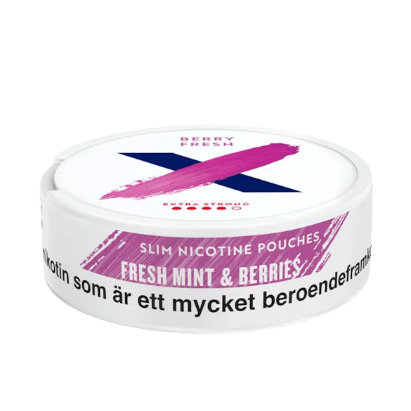 X Berry Fresh Extra Strong 10mg – bild 4