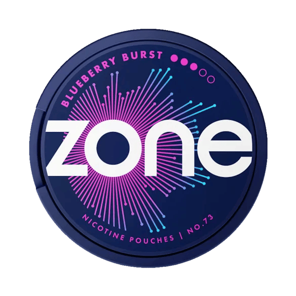 ZONE No73 Blueberry Burst 10mg – bild 2