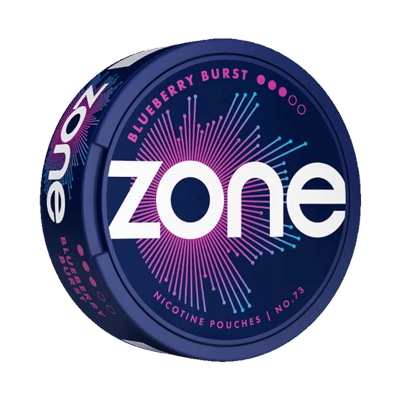 ZONE No73 Blueberry Burst 10mg