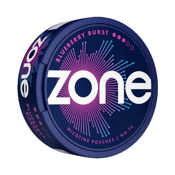 ZONE No73 Blueberry Burst 10mg