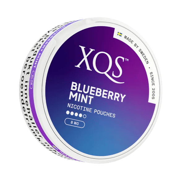 XQS Blueberry Mint 8mg – bild 2